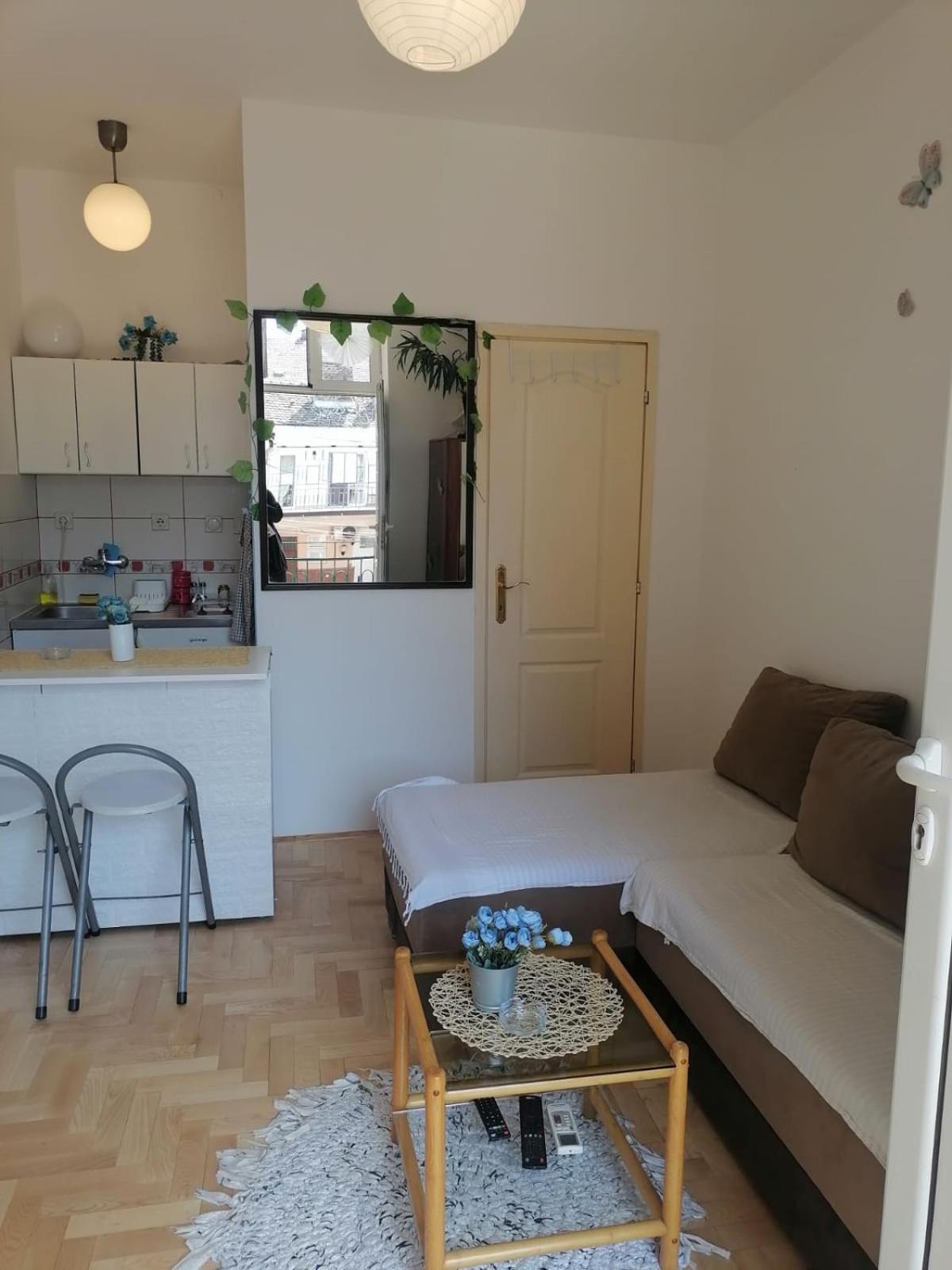 Small Low Cost Studio Belgrade Extérieur photo