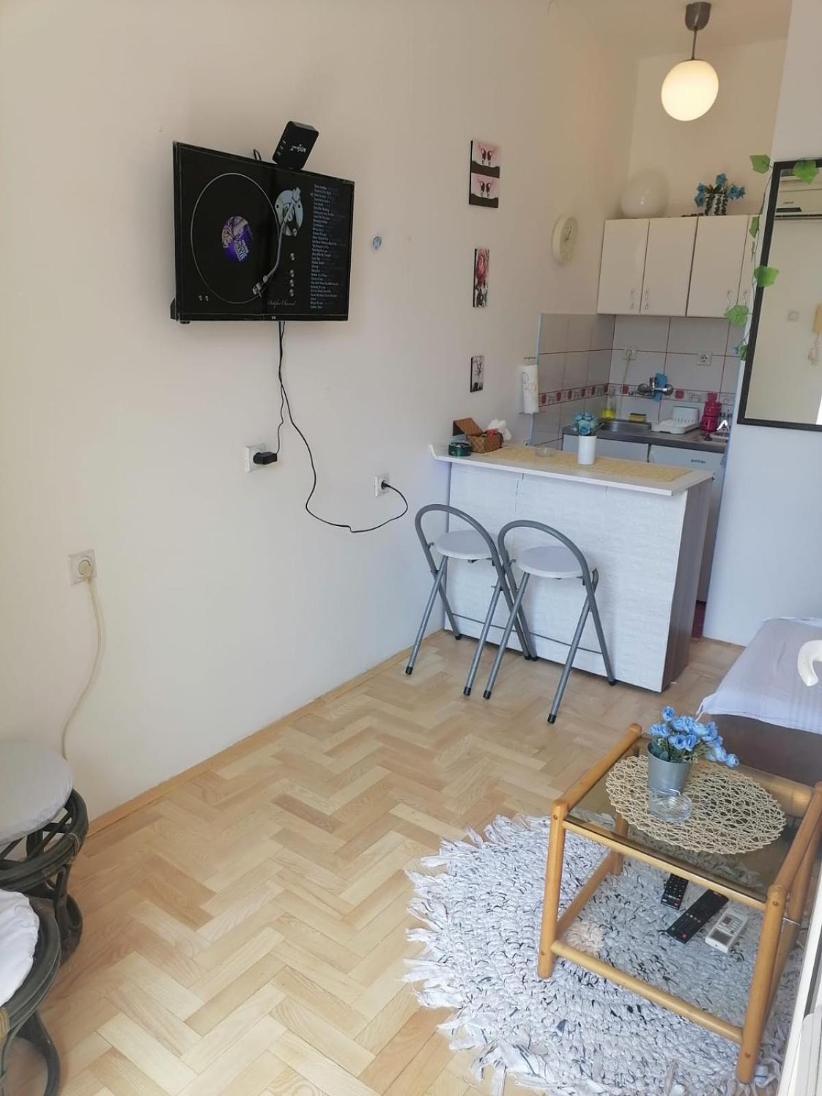 Small Low Cost Studio Belgrade Extérieur photo